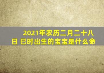 2021年农历二月二十八日 巳时出生的宝宝是什么命